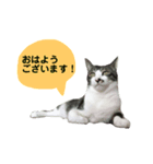 日常スタンプ くる君（個別スタンプ：25）