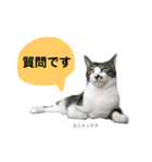 日常スタンプ くる君（個別スタンプ：28）