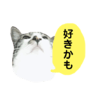 日常スタンプ くる君（個別スタンプ：29）