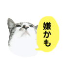 日常スタンプ くる君（個別スタンプ：30）