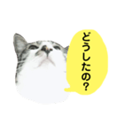 日常スタンプ くる君（個別スタンプ：32）