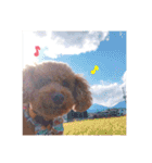 愛犬だんごスタンプ（個別スタンプ：6）