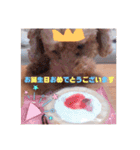 愛犬だんごスタンプ（個別スタンプ：7）