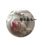 山内ティアラ（個別スタンプ：21）