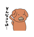 白目アニマル2（個別スタンプ：1）