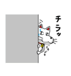 犬似の猫 第3弾（個別スタンプ：11）