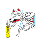 犬似の猫 第3弾（個別スタンプ：13）