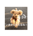 GO！GO！ケンタ！（個別スタンプ：8）