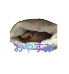 ハリネズミのちんく君（個別スタンプ：2）