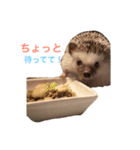 ハリネズミのちんく君（個別スタンプ：5）