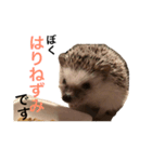 ハリネズミのちんく君（個別スタンプ：9）