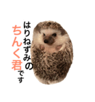 ハリネズミのちんく君（個別スタンプ：20）