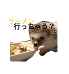 ハリネズミのちんく君（個別スタンプ：29）