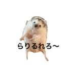 ハリネズミのちんく君（個別スタンプ：31）