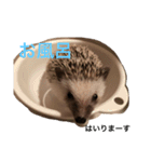 ハリネズミのちんく君（個別スタンプ：34）