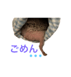 ハリネズミのちんく君（個別スタンプ：36）