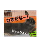きゃおるふぁみりー（個別スタンプ：5）