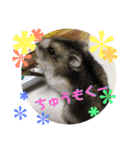 きゃおるふぁみりー（個別スタンプ：14）