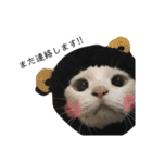猫なるのスタンプ2（個別スタンプ：14）