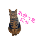 あいづちにゃんず（個別スタンプ：3）