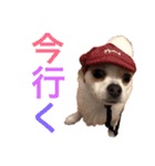 うちのふぁんたくん（個別スタンプ：3）