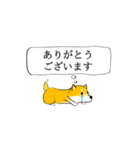 激しく尻尾をふる柴犬 【初版】（個別スタンプ：2）