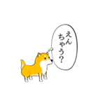 激しく尻尾をふる柴犬 【初版】（個別スタンプ：19）