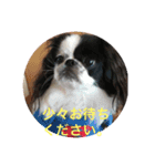 モコマロ2（個別スタンプ：1）