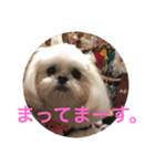 モコマロ2（個別スタンプ：4）