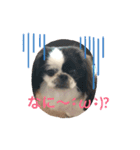 モコマロ2（個別スタンプ：5）