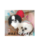 モコマロ2（個別スタンプ：8）