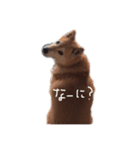 柴犬ミルと手作りクッキー（個別スタンプ：2）