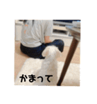 ソラ家のワンコ（個別スタンプ：21）