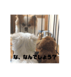 ソラ家のワンコ（個別スタンプ：27）
