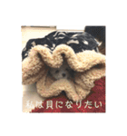 ソラ家のワンコ（個別スタンプ：28）