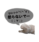 わんにゃんスタ（個別スタンプ：8）