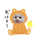 にこと仲良しのぴーすけ（個別スタンプ：1）