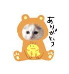 にこと仲良しのぴーすけ（個別スタンプ：3）