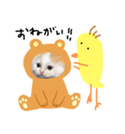 にこと仲良しのぴーすけ（個別スタンプ：5）