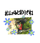 新人営業カメ吉（個別スタンプ：19）