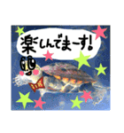 新人営業カメ吉（個別スタンプ：24）