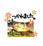 新人営業カメ吉（個別スタンプ：32）