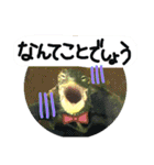 新人営業カメ吉（個別スタンプ：37）