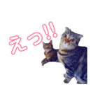 仲良しむーココ（個別スタンプ：6）