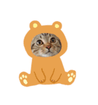 仲良しむーココ（個別スタンプ：7）
