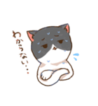 理系大学生猫スタンプ（個別スタンプ：10）