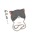 理系大学生猫スタンプ（個別スタンプ：11）