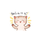 理系大学生猫スタンプ（個別スタンプ：12）