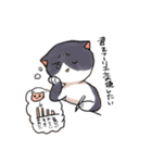 理系大学生猫スタンプ（個別スタンプ：14）