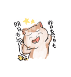 理系大学生猫スタンプ（個別スタンプ：15）